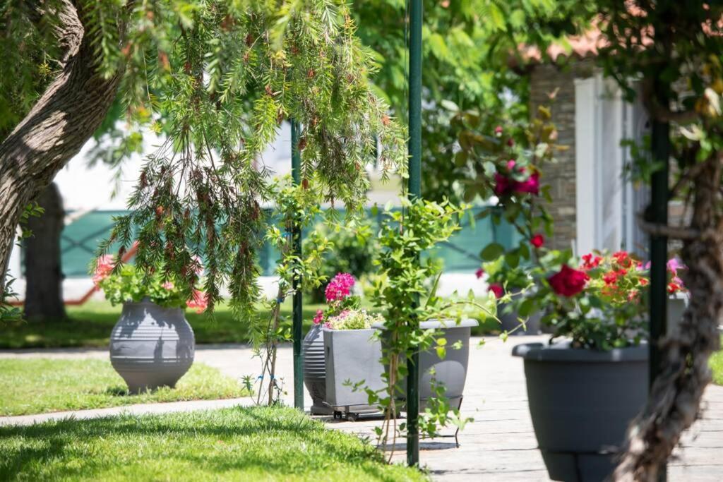 Villa Nuestro Jardin Sykia Chalkidikis Esterno foto